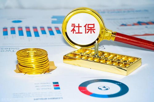 社保錢袋子誰掏空？強制繳費究竟保護誰？企業(yè)最終僅認這一招